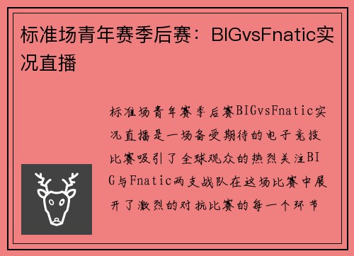 标准场青年赛季后赛：BIGvsFnatic实况直播